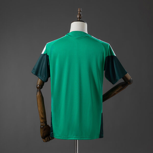 Argelia Entrenamiento Mundial 2026 (Fan Versión)